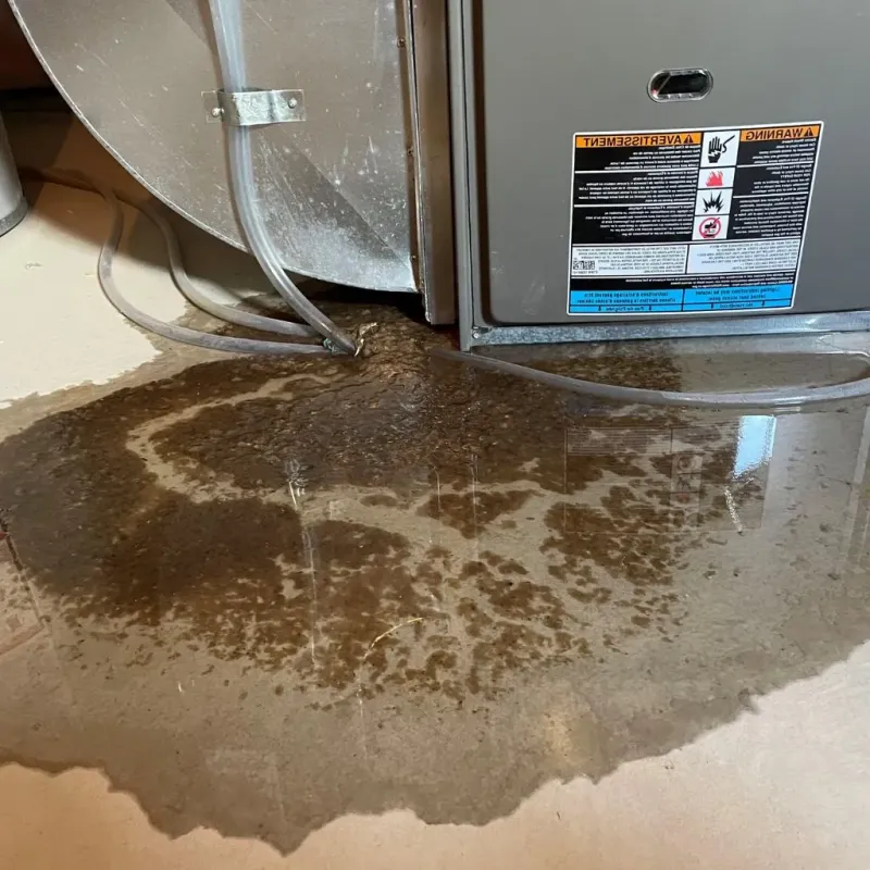 Pipe Burst and Leak Restoration in Lawrence County, SD
